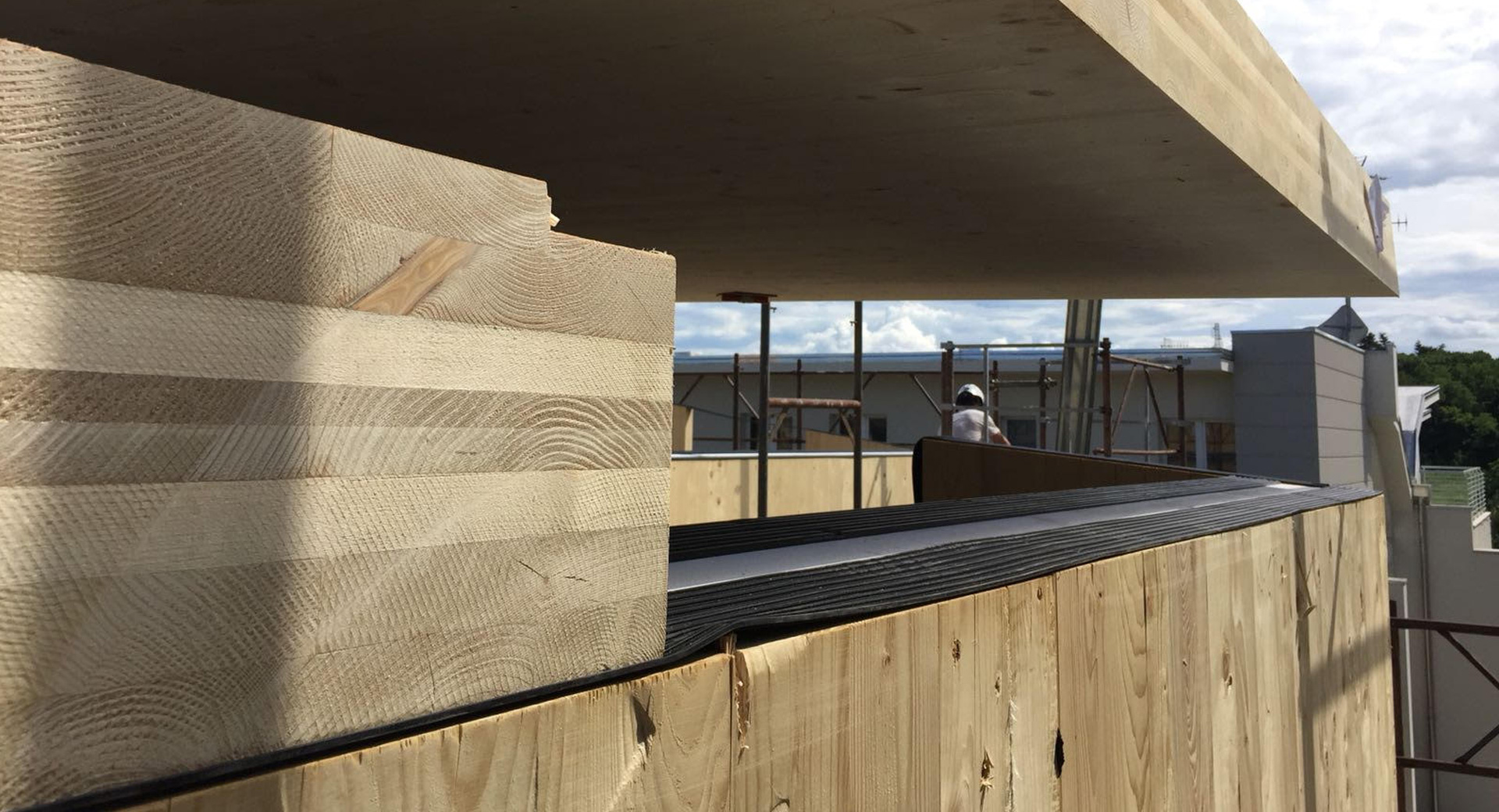 Wood buildings are the future of the sustainable environment